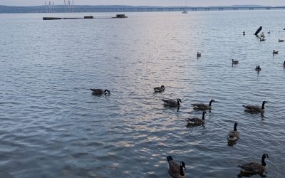 You Don’t Have To Grieve Alone